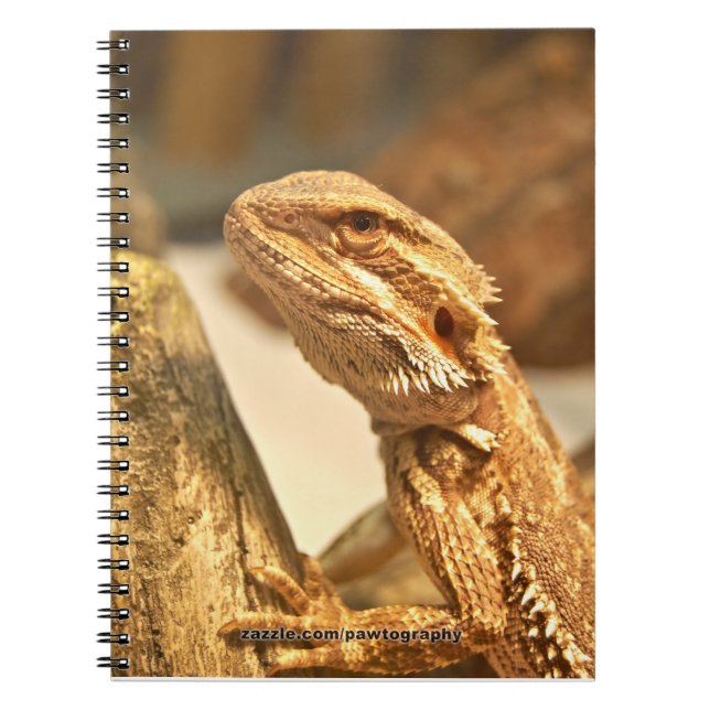 Bärtiger Drache Notizblock (Vorderseite)