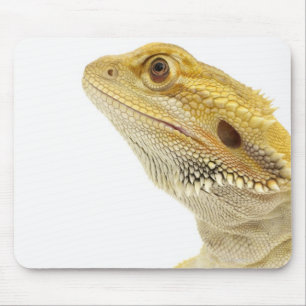 Bärtiger Drache (Pogona Vitticeps) Mousepad