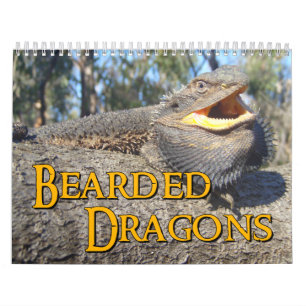 Bärtiger Drache-Wandkalender Kalender