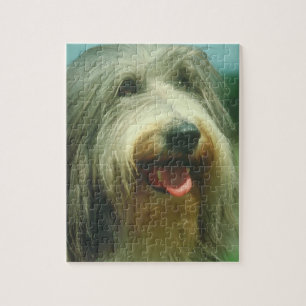 Bärtiges Collie-Hundepuzzlespiel