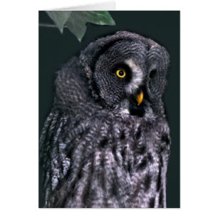 Bartkauz