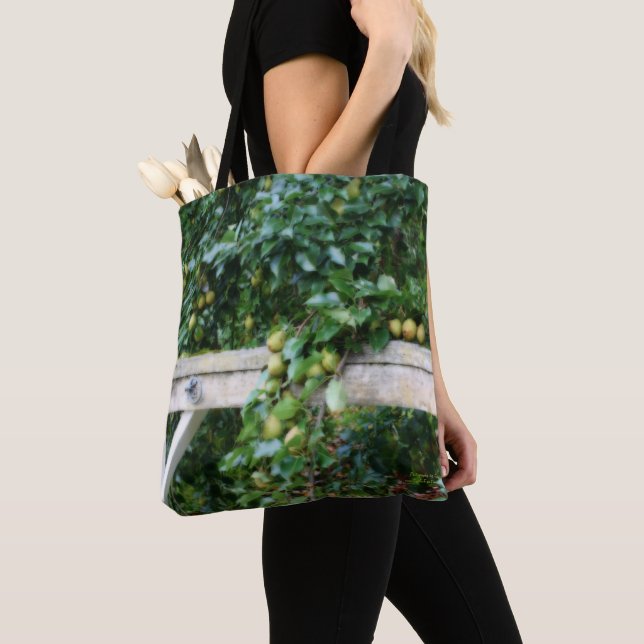 Bartlett Birnen auf Baumland Tasche (Von Nahem)