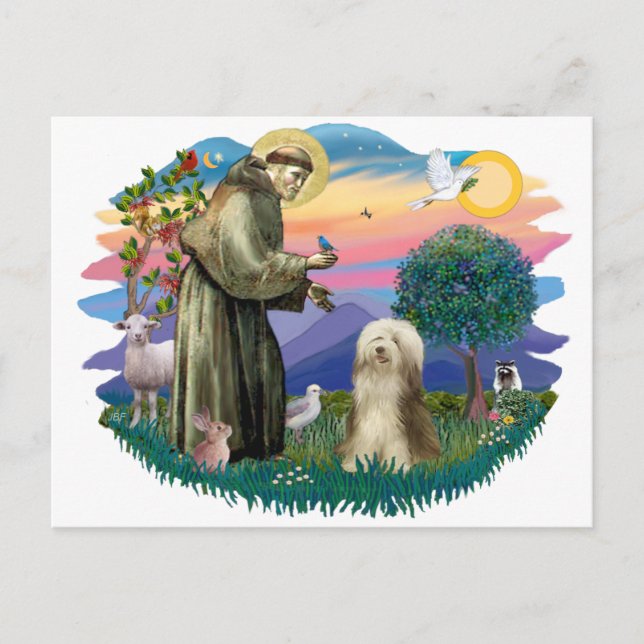 Bartollie (Brauncreme) Postkarte (Vorderseite)
