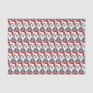 Bartollie mit Weihnachtsmannmütze Weihnachten Gemu Seidenpapier