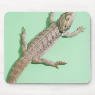 Bartondrache Mousepad