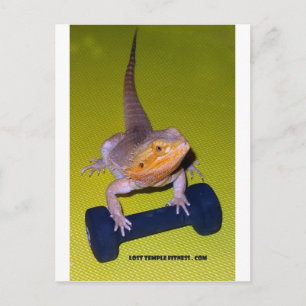 Bartonübungen Postkarte