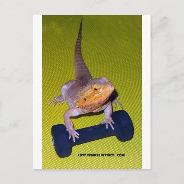 Bartonübungen Postkarte (Vorderseite)