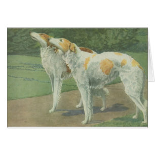 Barzoï (chien-loup russe)