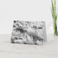 Basalt Lava Rocks in Desert, Black and White Photo