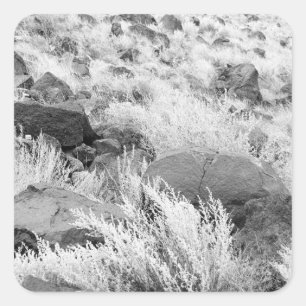 Basalt Lava Rocks Südwestschwarz-Weiß-Foto Quadratischer Aufkleber