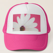 Baseball Cap (Pink DaisyOnPink)RFPM-Designs ©️ 201