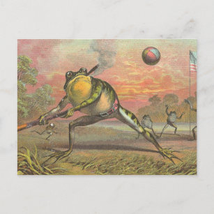 Baseball Frog Postkarte