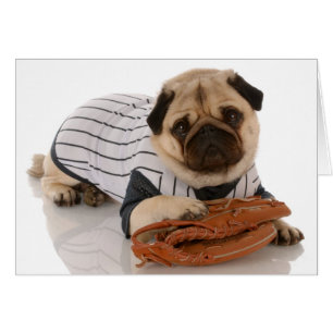 Baseball-Mops-Karte