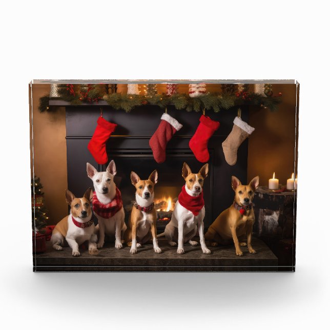 Basenji an der Weihnachtsfeier am Feuerplatz Fotoblock (Vorderseite)