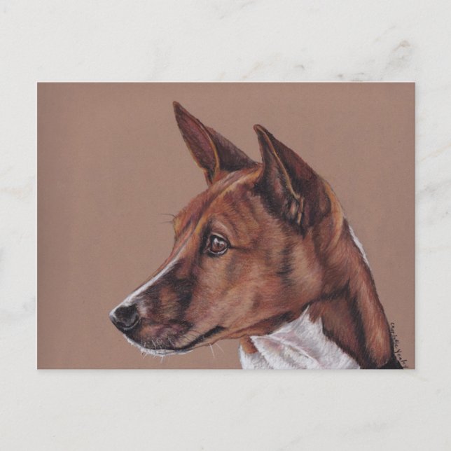 Basenji Colored Pencil Art Postcard Postkarte (Vorderseite)
