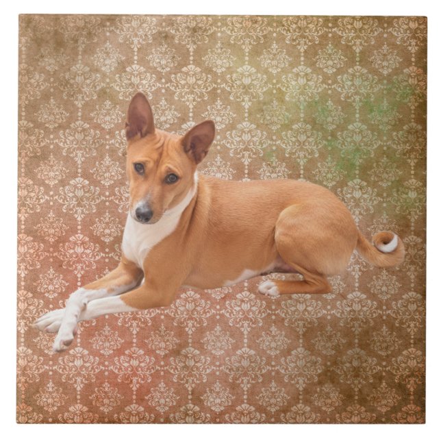 Basenji Dog  Fliese (Vorderseite)