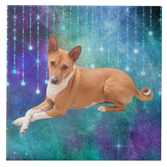Basenji Dog  Fliese (Vorderseite)