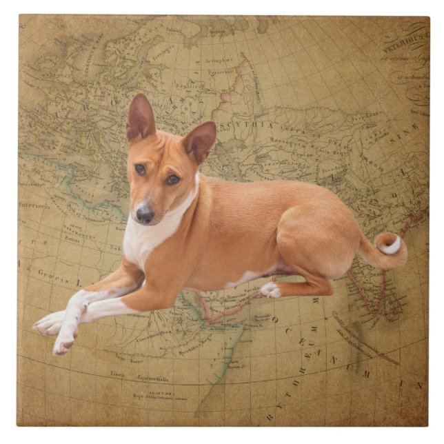 Basenji Dog  Fliese (Vorderseite)