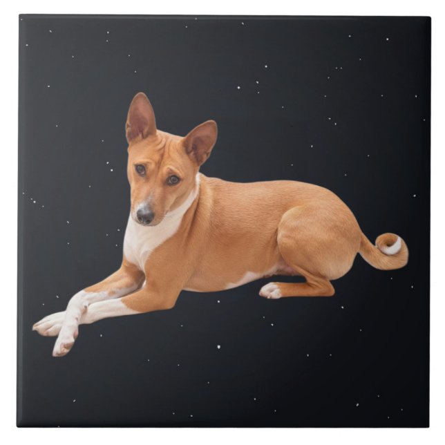 Basenji Dog  Fliese (Vorderseite)