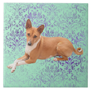 Basenji-Hund Fliese
