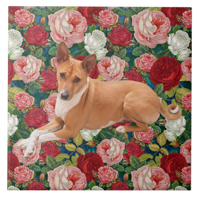 Basenji-Hund  Fliese (Vorderseite)