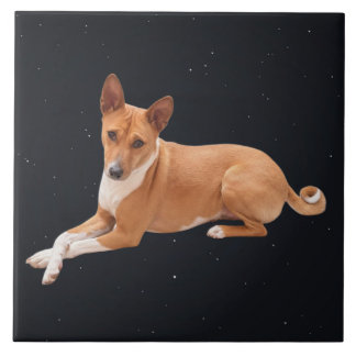 Basenji-Hund Fliese