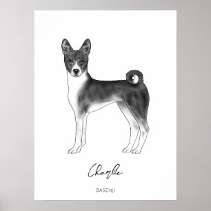 Basenji-Hund in Schwarz und Weiß mit individuellem Poster