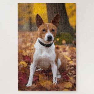 Basenji im Herbst Leaves Fall Inspiriert