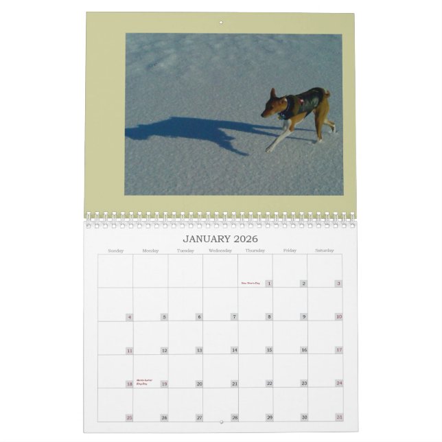 Basenji Kalender 2010 (Jan 2026)
