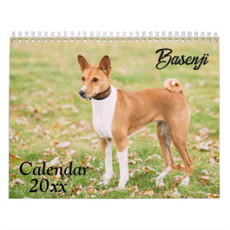 Basenji-Kalender 2026 Kalender