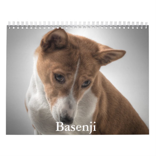 Basenji-Kalender Kalender (Titelbild)