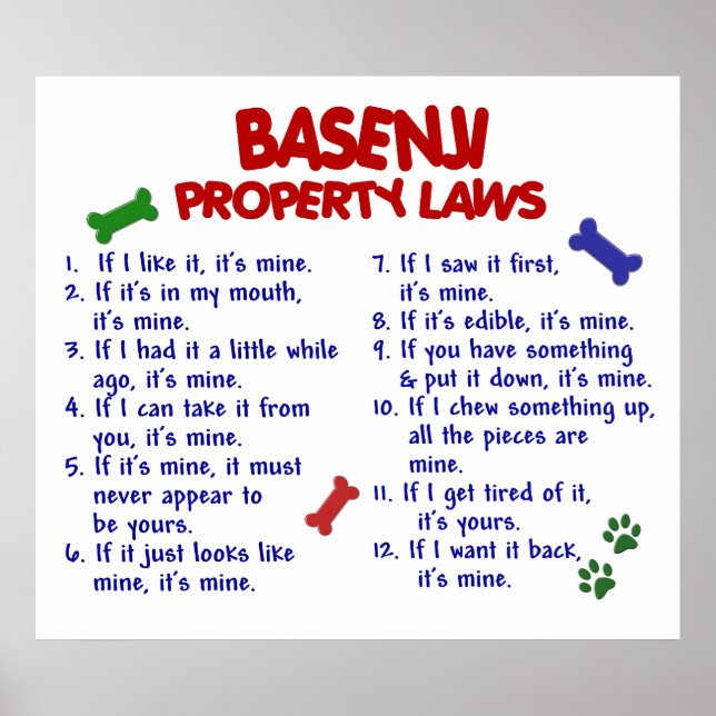 BASENJI PL2 POSTER (Vorne)