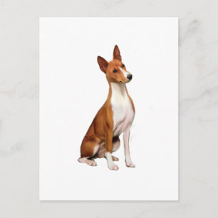 Basenji Postkarte
