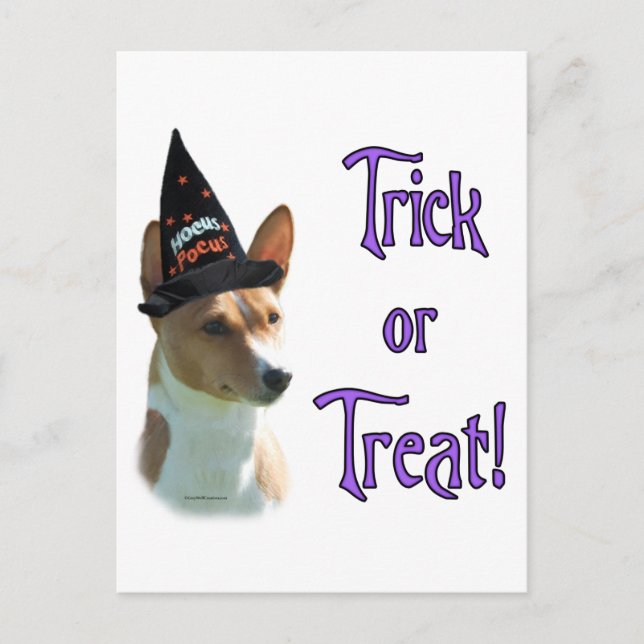 Basenji Trick Postkarte (Vorderseite)