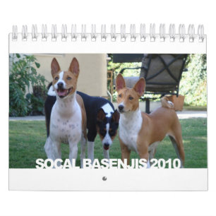 Basenjis de calendrier de Socal 2010