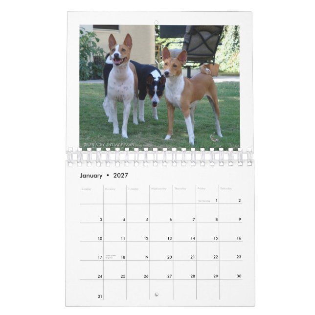 Basenjis von Socal 2010 Kalender (Jan 2027)