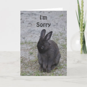 Bashful Bunny Rabbit Karte