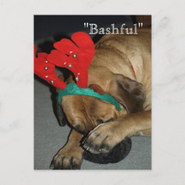 Bashful English Mastiff Hund mit Rentier Antler Postkarte