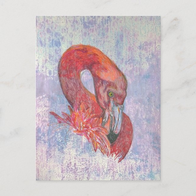 Bashful Flamingo Postkarte (Vorderseite)