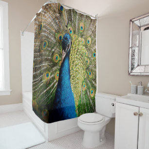 Bashful Peacock Duschvorhang