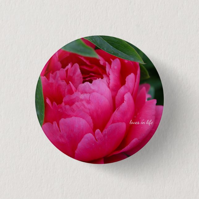 Bashful Pink Peony Button (Vorderseite)