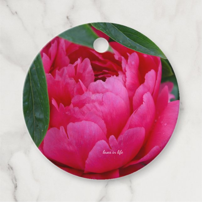 Bashful Pink Peony Geschenkanhänger (Vorderseite)