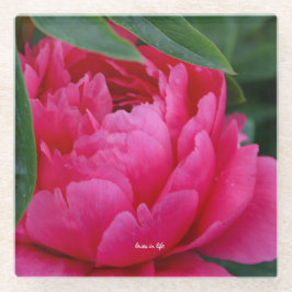 Bashful Pink Peony Glasuntersetzer