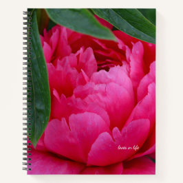 Bashful Pink Peony Notizbuch