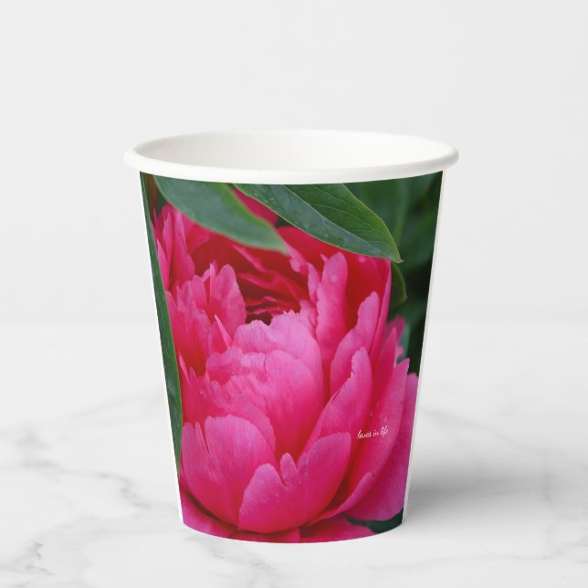 Bashful Pink Peony Pappbecher (Vorderseite)
