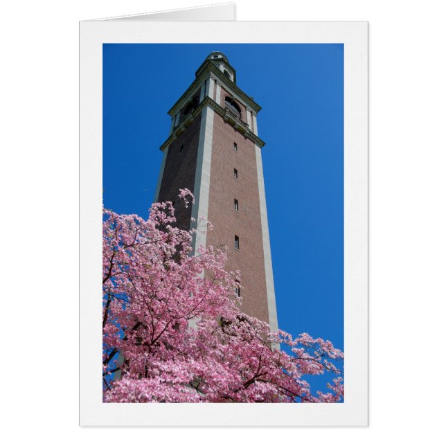 Basiert im Rosa (Vorne)