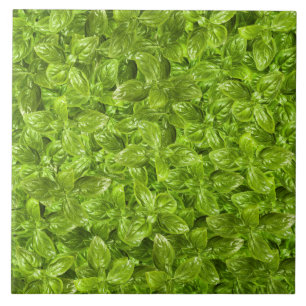 Basil-Blätter-Muster Fliese