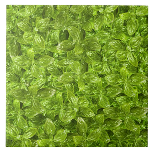 Basil-Blätter-Muster Fliese (Vorderseite)