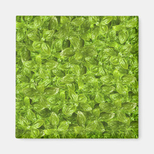 Basil-Blätter-Muster Magnet