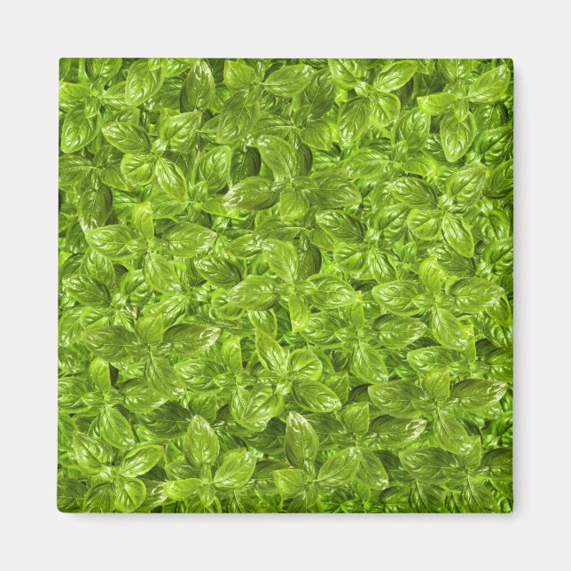 Basil-Blätter-Muster Magnet (Vorne)